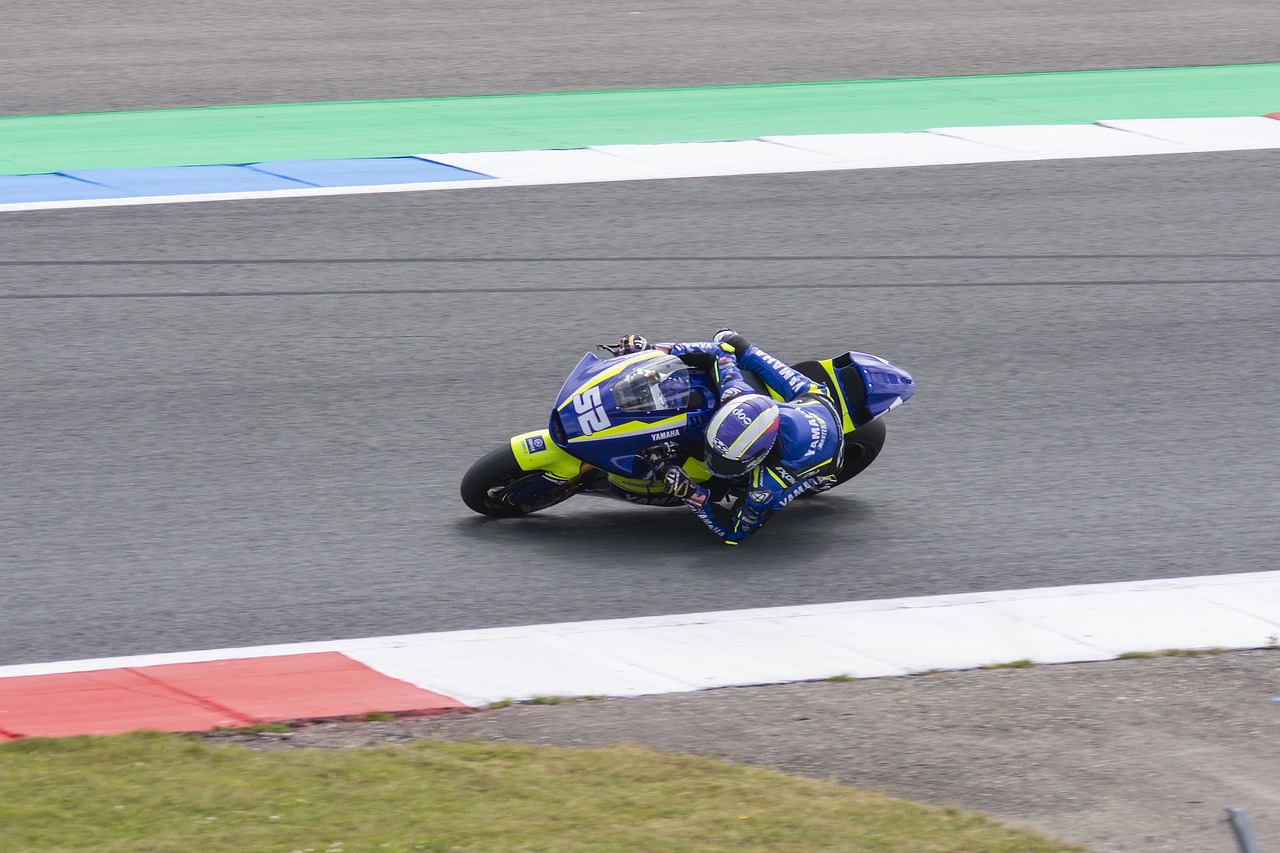 球迷粘性的 球迷粘性的