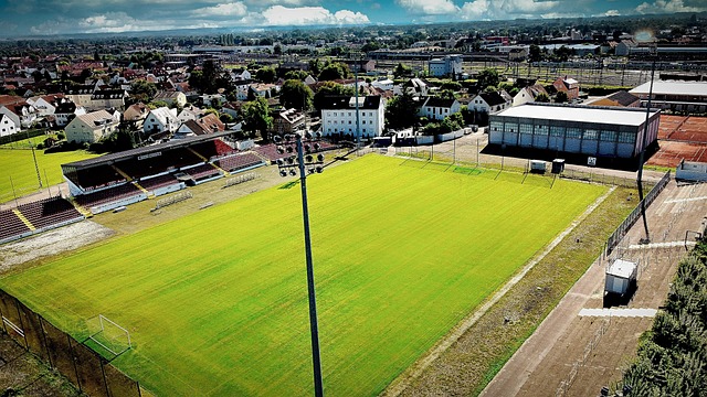 为一种不可 为一种不可