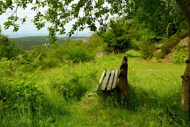 其他进攻端 其他进攻端