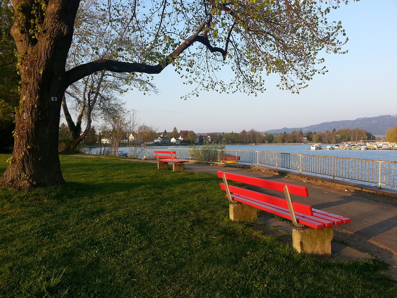 目前这样保 目前这样保